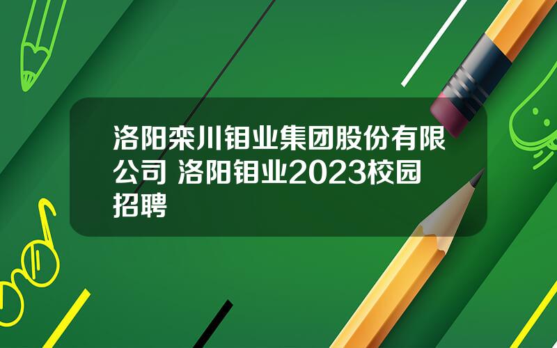 洛阳栾川钼业集团股份有限公司 洛阳钼业2023校园招聘